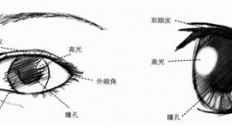 漫画眼珠,窥探角色内心世界的窗口