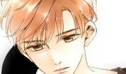 h色漫画大全,揭秘成人漫画世界